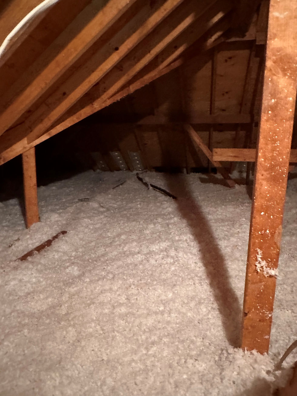 attic insulation