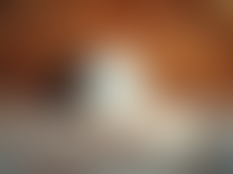 Want To Save Money With Attic Insulation in Chattanooga?