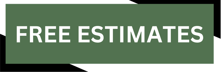 D DESIGNS - 2026-04-17T163044.242.png