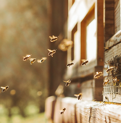 iStock-1358129924.jpg