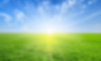 AdobeStock_79561726_edited.jpg