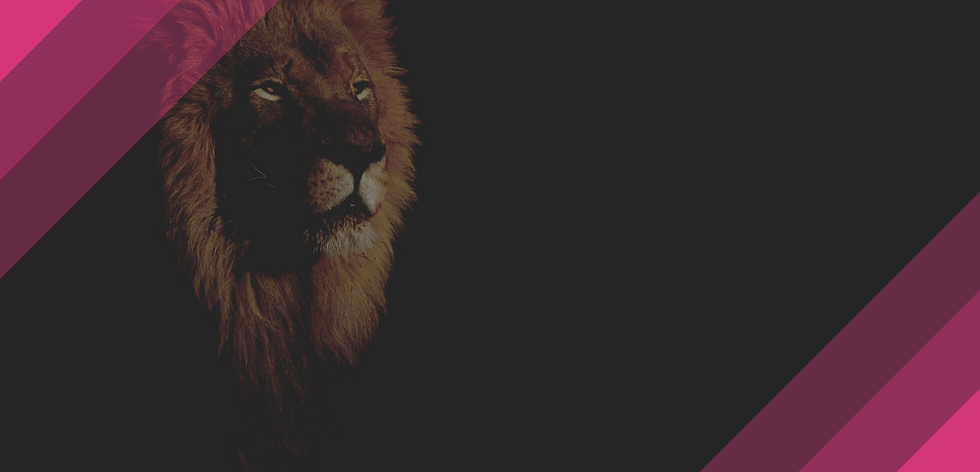 Dia 1 - Consiga um emprego na área de biologia molecular em 3 meses.