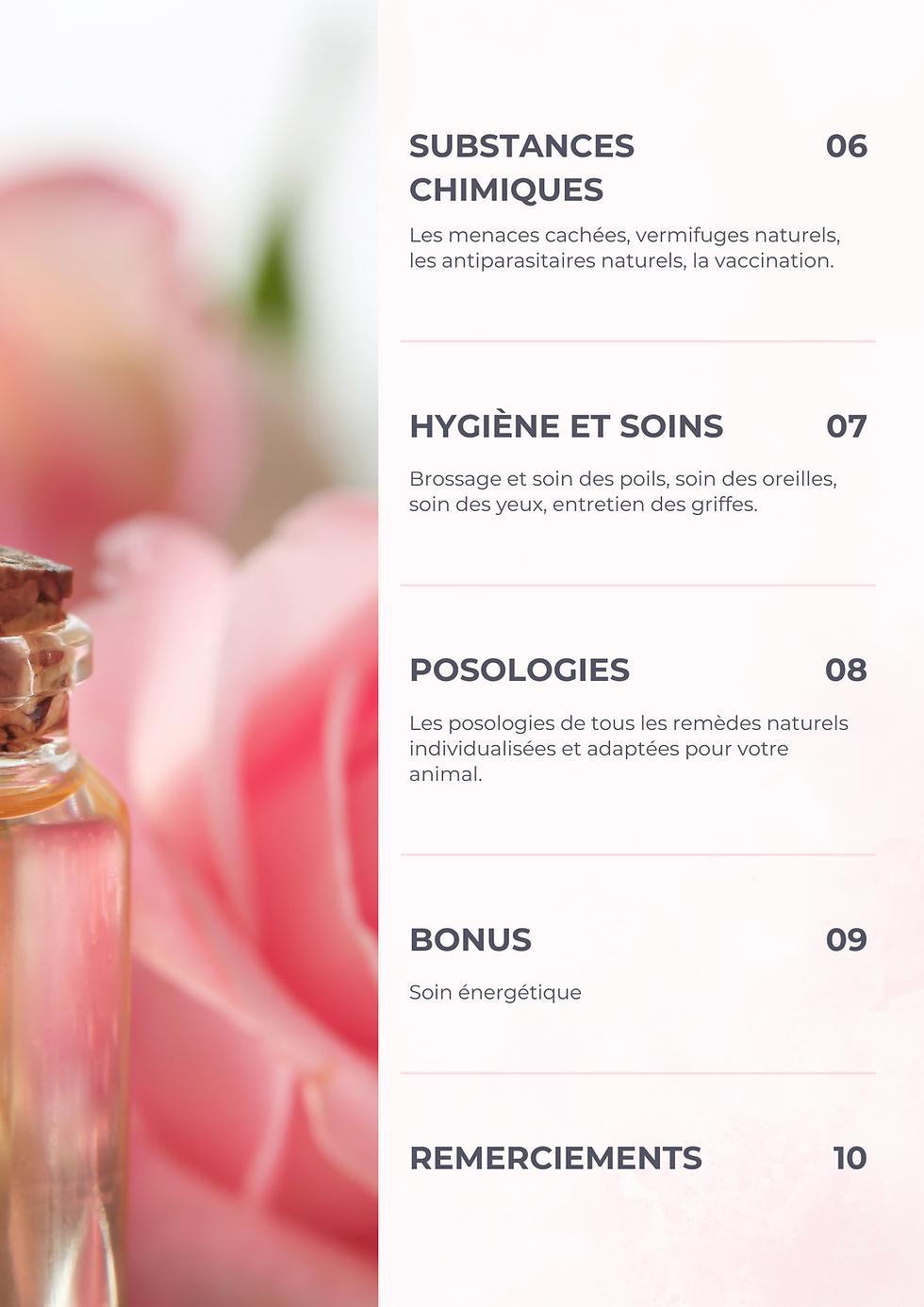 Miniature : Naturopathie Animale - La Vie en Rose