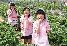wk160502-010.png