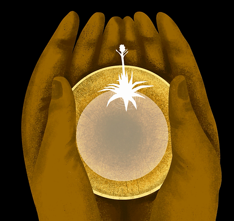 ilust. bule mezcal.png