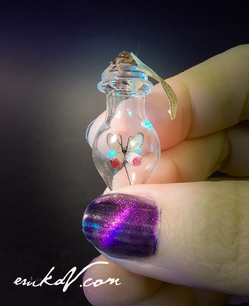 Thumbnail: Roseglass Butterfly Specimen in Tiny Glass Bottle