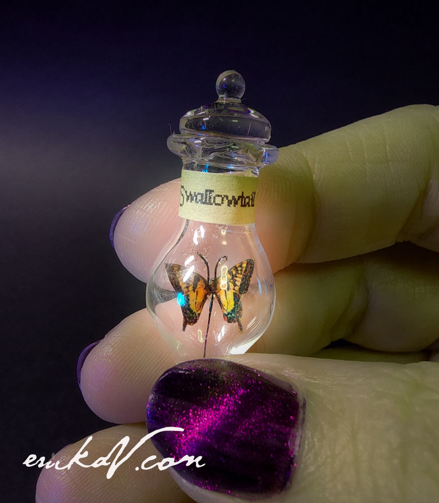 Thumbnail: Swallowtail Butterfly in Miniature Glass Bottle