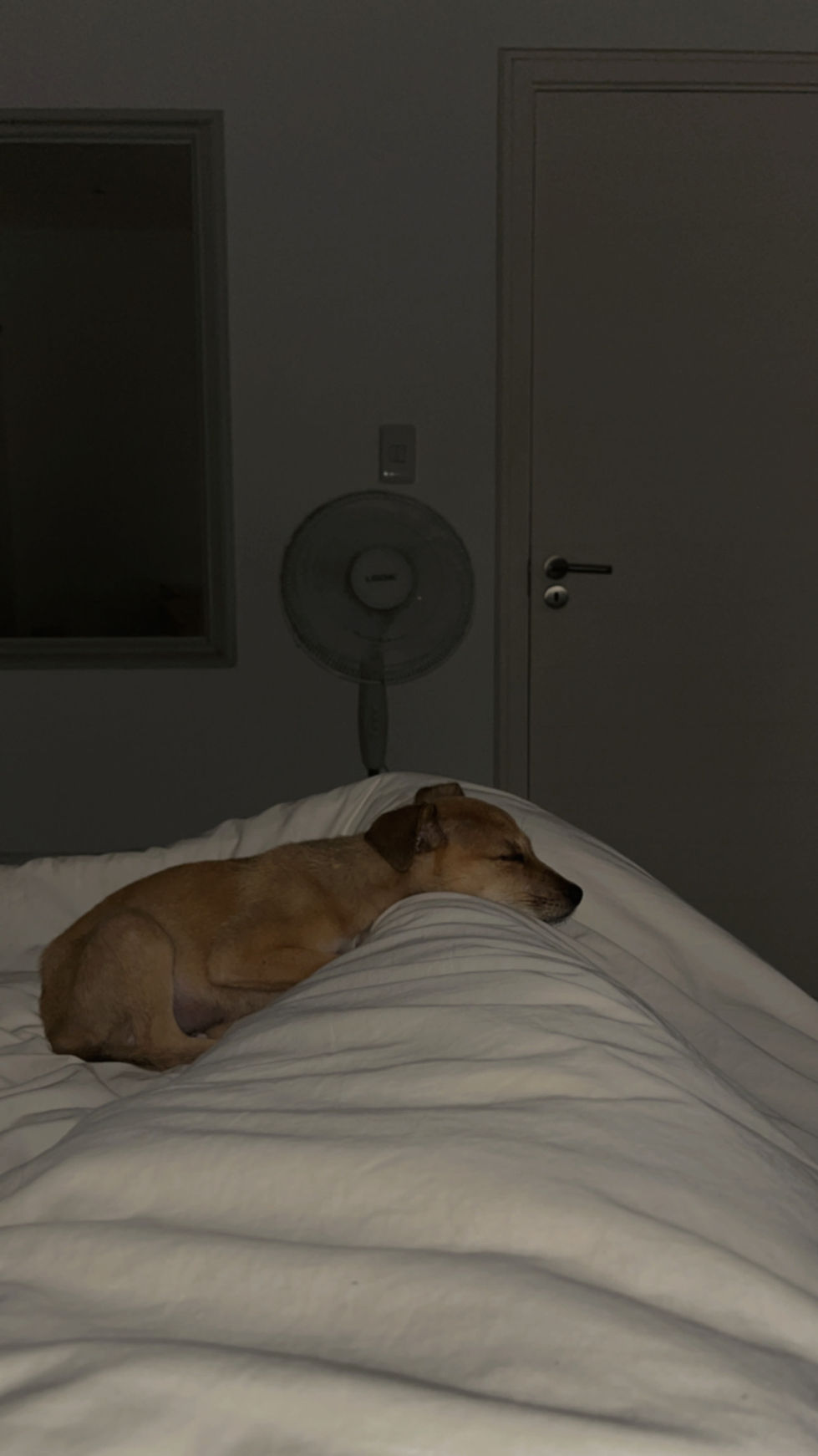 First night at his new home.