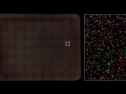 Throughput: How Many Samples Can Be Processed With hpPCR Per Day?