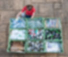 safe junk disposal