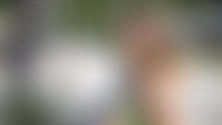 Conoce a Turismo en Ruta PR