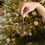 Thumbnail: Glass Ornaments