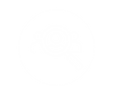 15.png