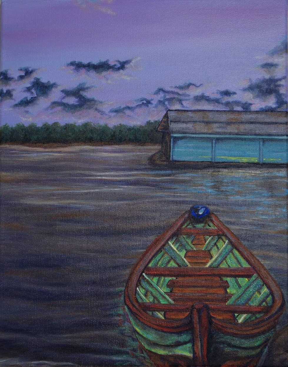 The Amazon Rainforest Brazil Canoe