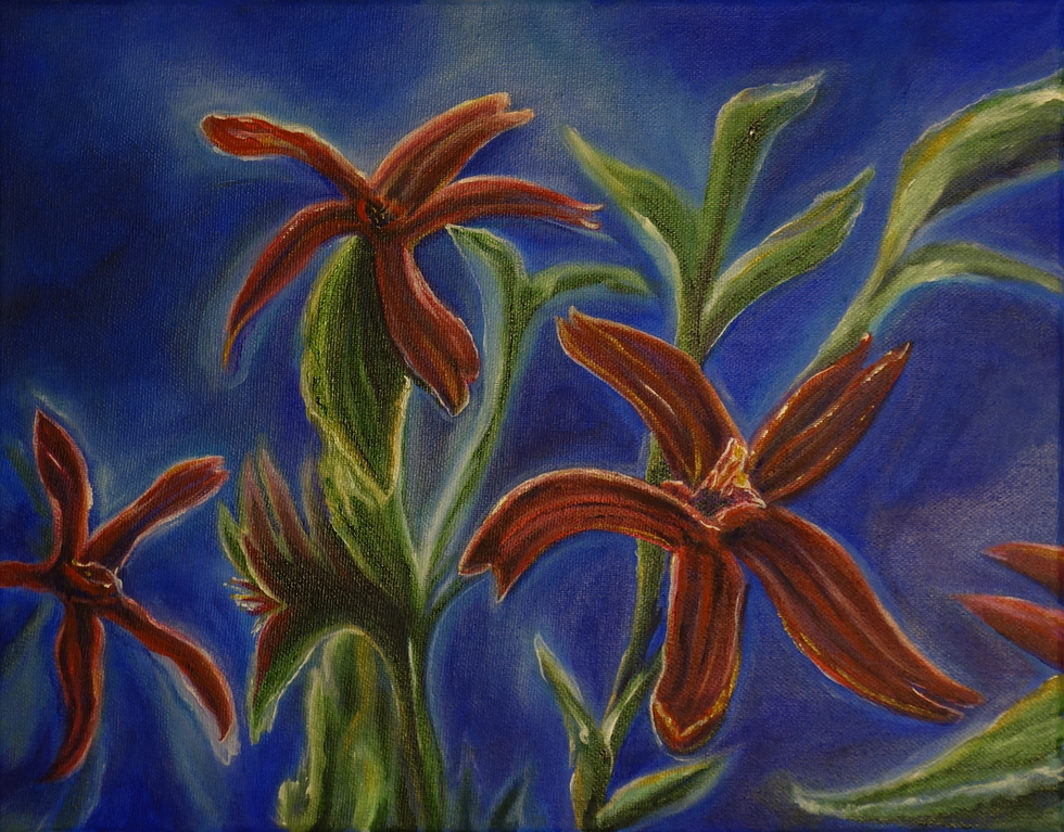Cardinal Flower Original