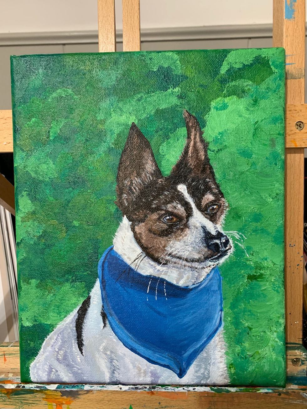 Dog