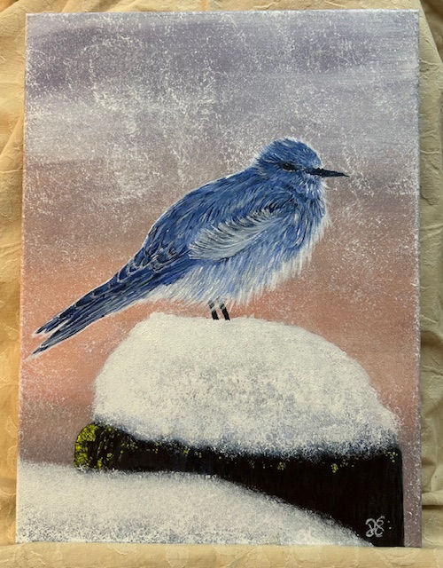 Snow Bird