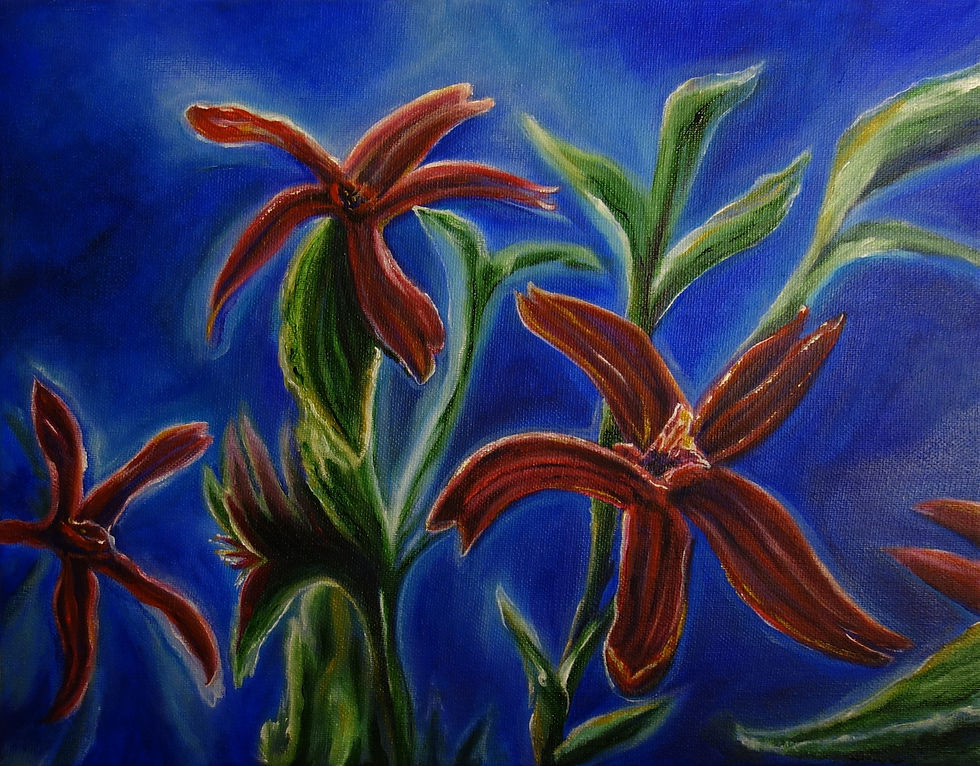 Cardinal Flower
