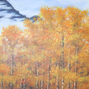Aspens Tetons