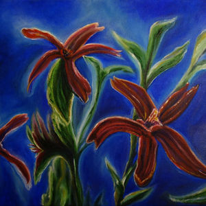 Cardinal Flower