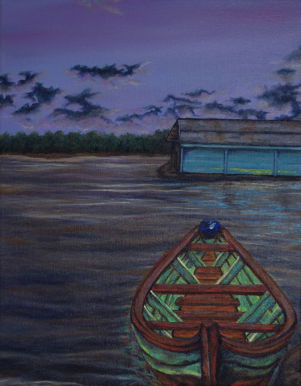 The Amazon Rainforest Brazil Canoe
