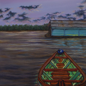 The Amazon Rainforest Brazil Canoe
