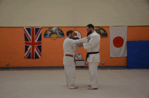 Ippon Seoi Nage 2.gif