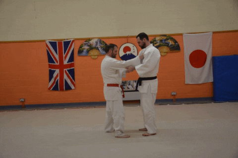 Kouchi Gari 2.gif