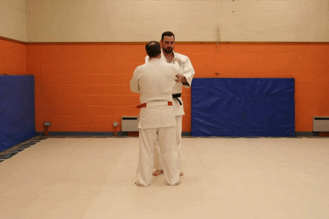 giphy.gif