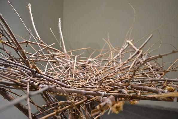 Finney_Tree Sculpture 1.JPG