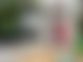 A Wonderful Life Accordion Folio with Perfect Paints!