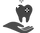 dental_edited.png