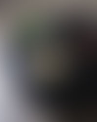 季(とき)を愛でる花と茶のひととき