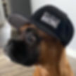 Pelican Racing Hat - Black