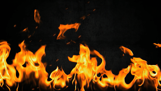 Flame-Logo.gif