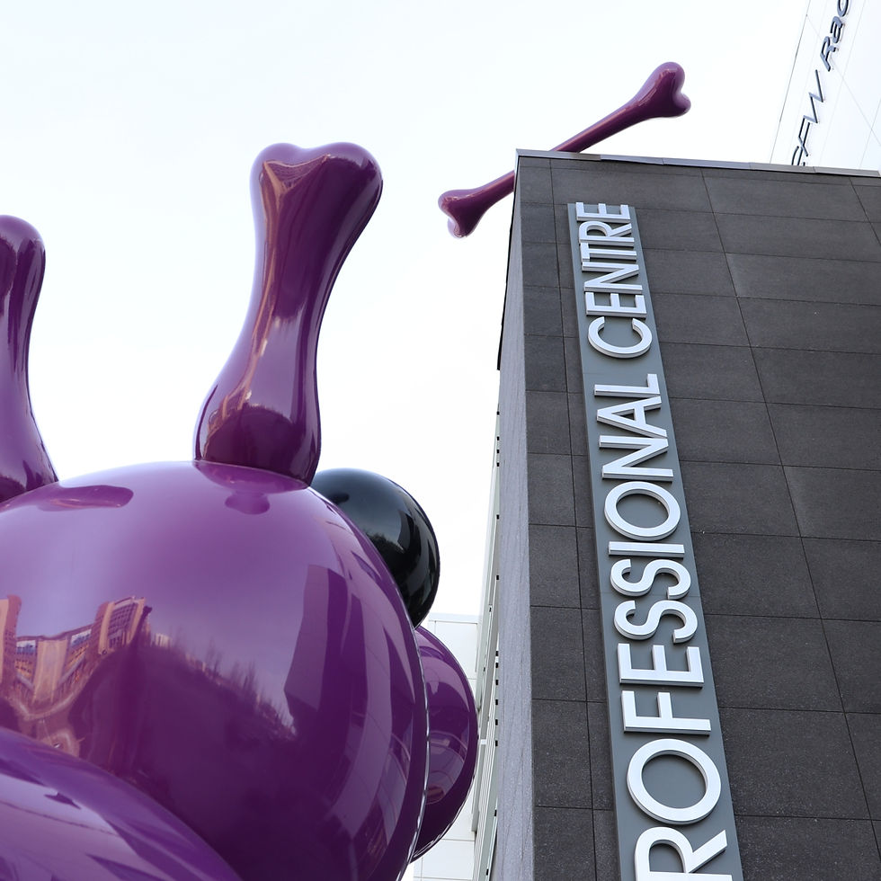 Excellent art display in Calgary. Boney the purple dog (and his bone). Photo by Mike LaValley