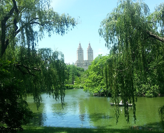 2013-06-05 13.36.22-1.jpg