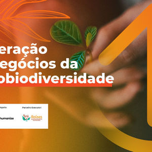 PNUD-ONU — Aceleração de Negócios da Sociobiodiversidade