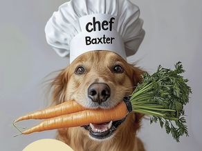 Healthy Cooking for Your Dog Cookbook