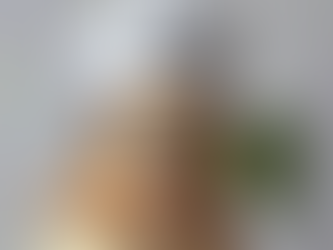 Healthy Cooking for Your Dog Cookbook