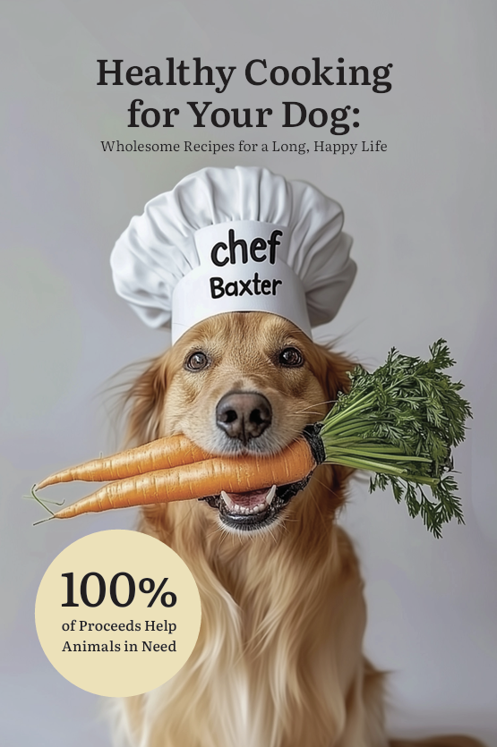 Three dogs sit on a couch, eagerly eyeing plates of crackers, salmon, and a bowl of dip on a patterned tablecloth. Cozy setting.