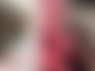 Drako the dog, new haircut