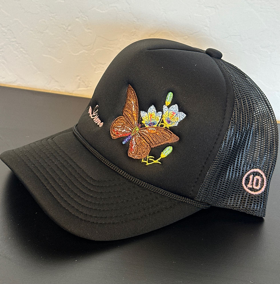 Thumbnail: Team Dime Butterfly Foam Trucker