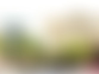 Visibilidade Trans: o direito de existir e a força de ocupar o mundo