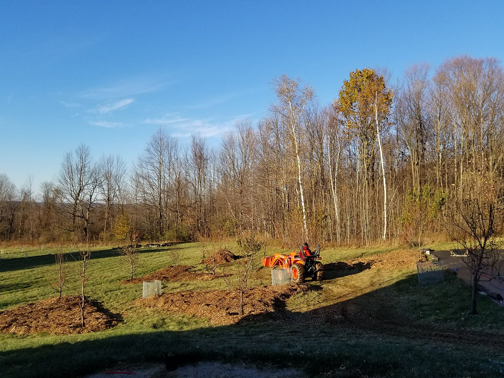 Mulch patches