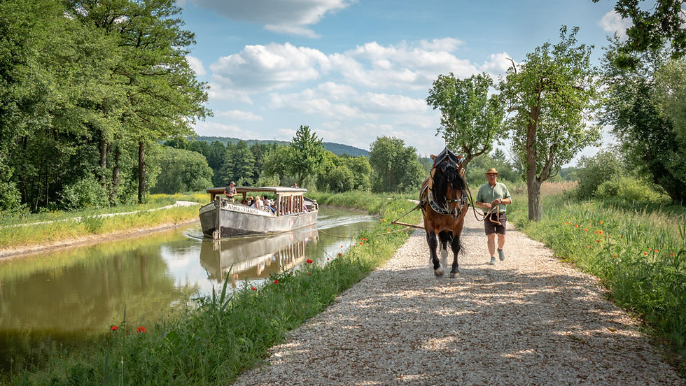 Treideln am Ludwig-Donau-Main-Kanal