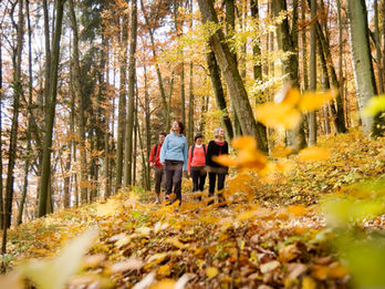 Dietfurt Höhlenkundliche Wanderung