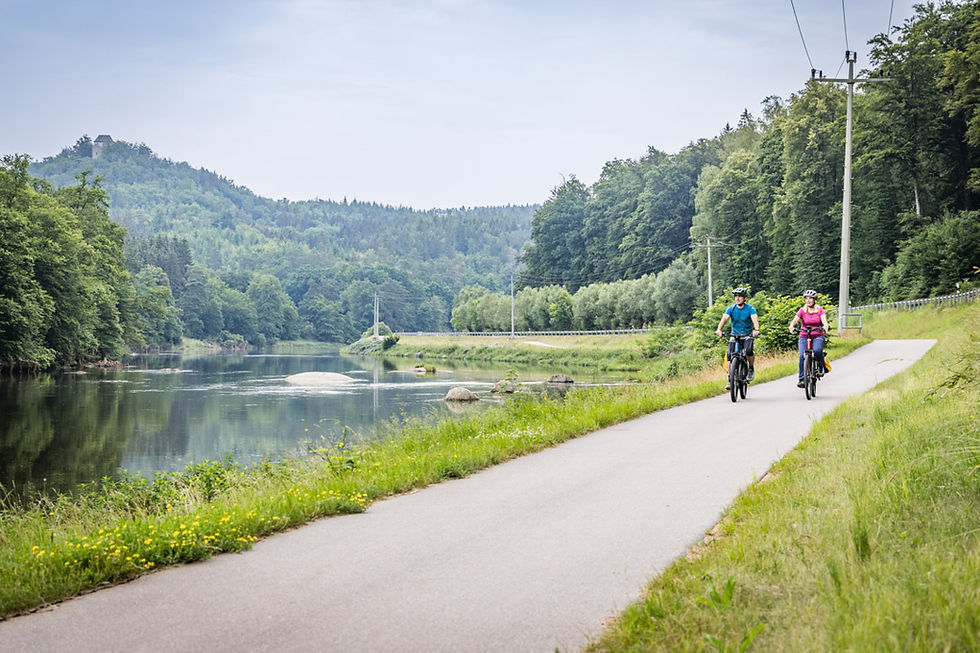 Flussradeln am Regentalradweg
