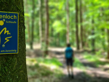 Bärenlochschlaufe bei Kallmünz