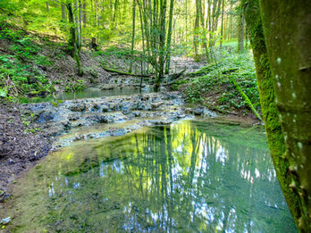 Sinterterrassen Holnstein
